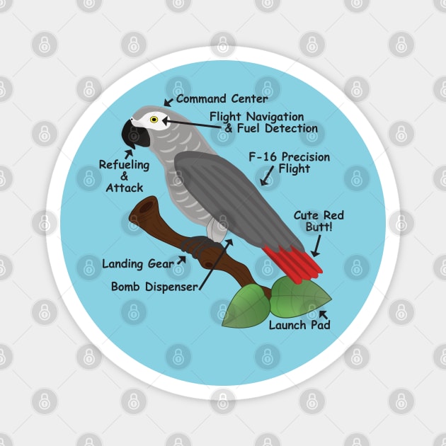 Anatomy of an African Grey Parrot Magnet by Einstein Parrot